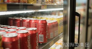 食品应用